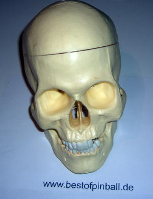 Bone Busters Skull (Gottlieb)